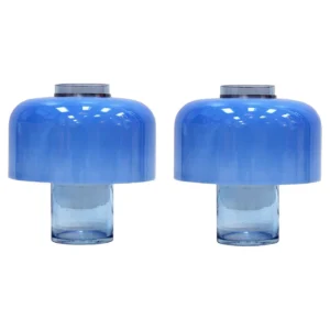 Carlo Nason Murano Glass